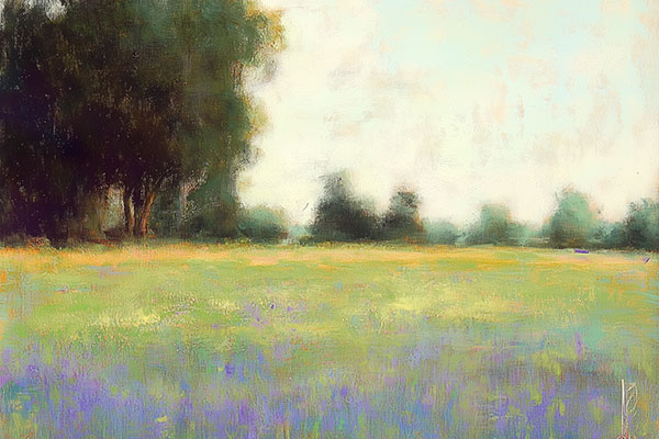 Summer Field