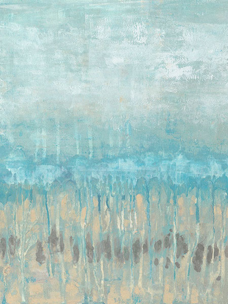 Coastline Abstraction I