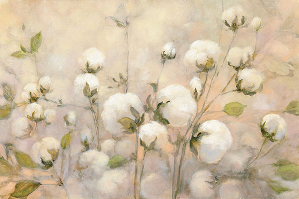 Cotton Field