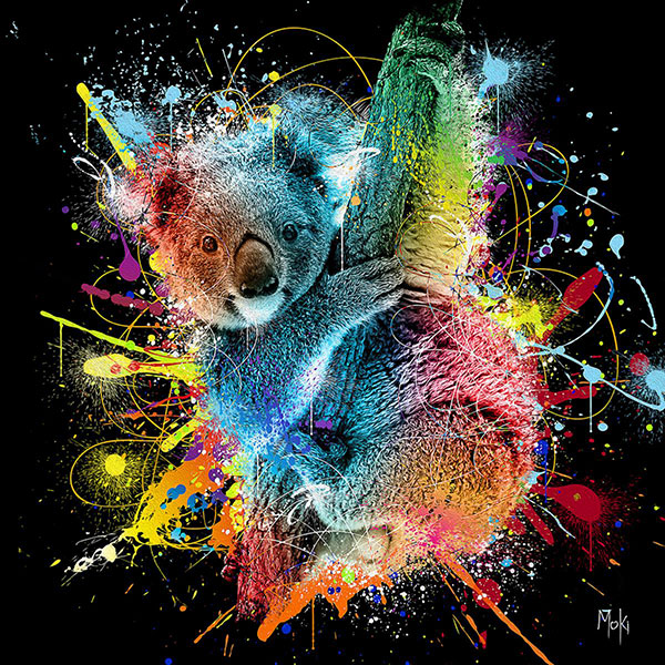 Koala Color